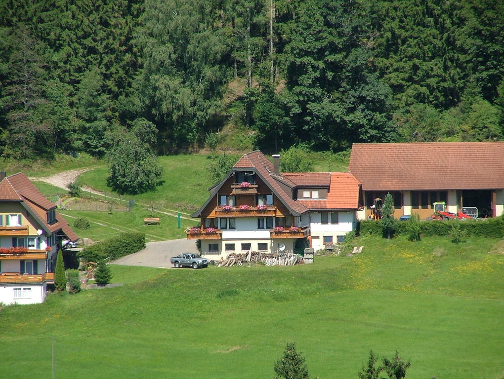 Martina Frey Ferienwohnungen Baiersbronn Exterior photo