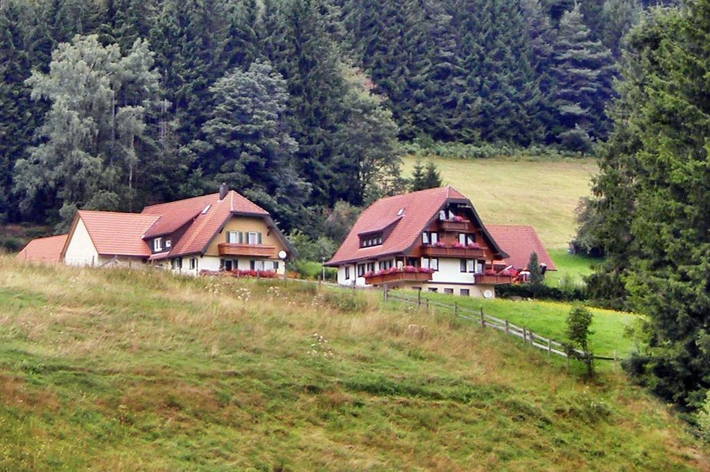 Martina Frey Ferienwohnungen Baiersbronn Exterior photo
